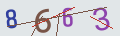 verifycode